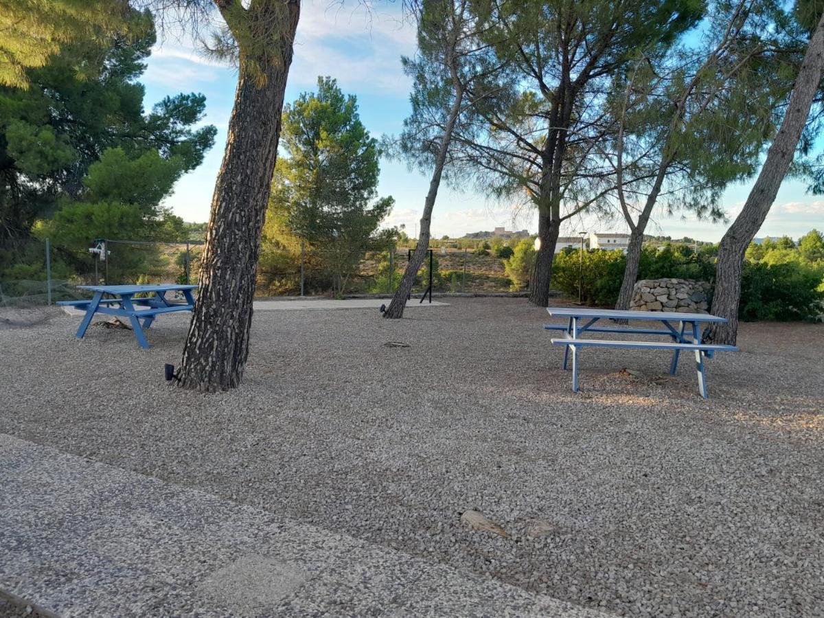 Djm Palms - Shared Casa Rural - Casa Rural Compartida - No Es Una Casa Privada Ayora Εξωτερικό φωτογραφία